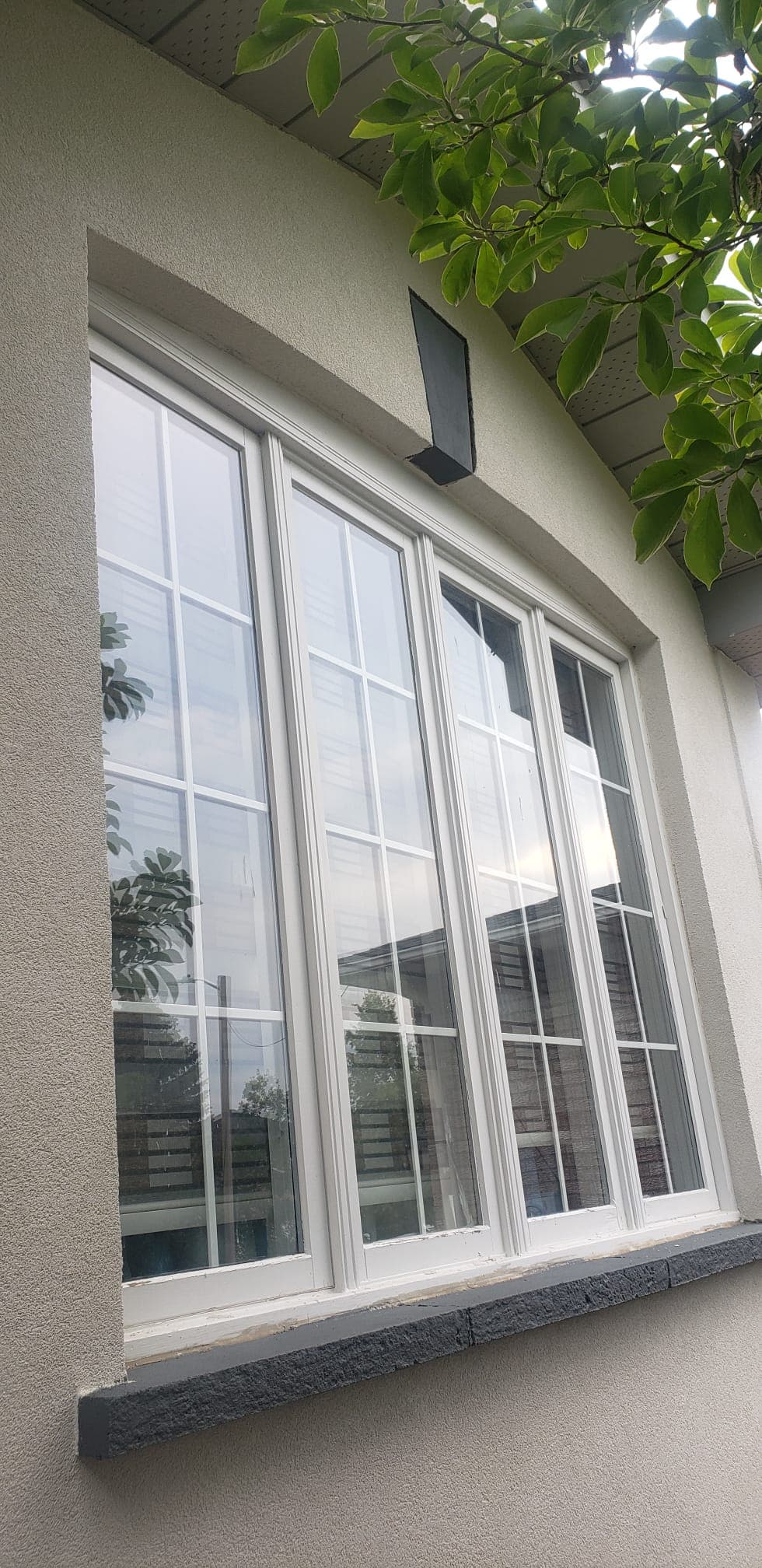 Full Window Replacement