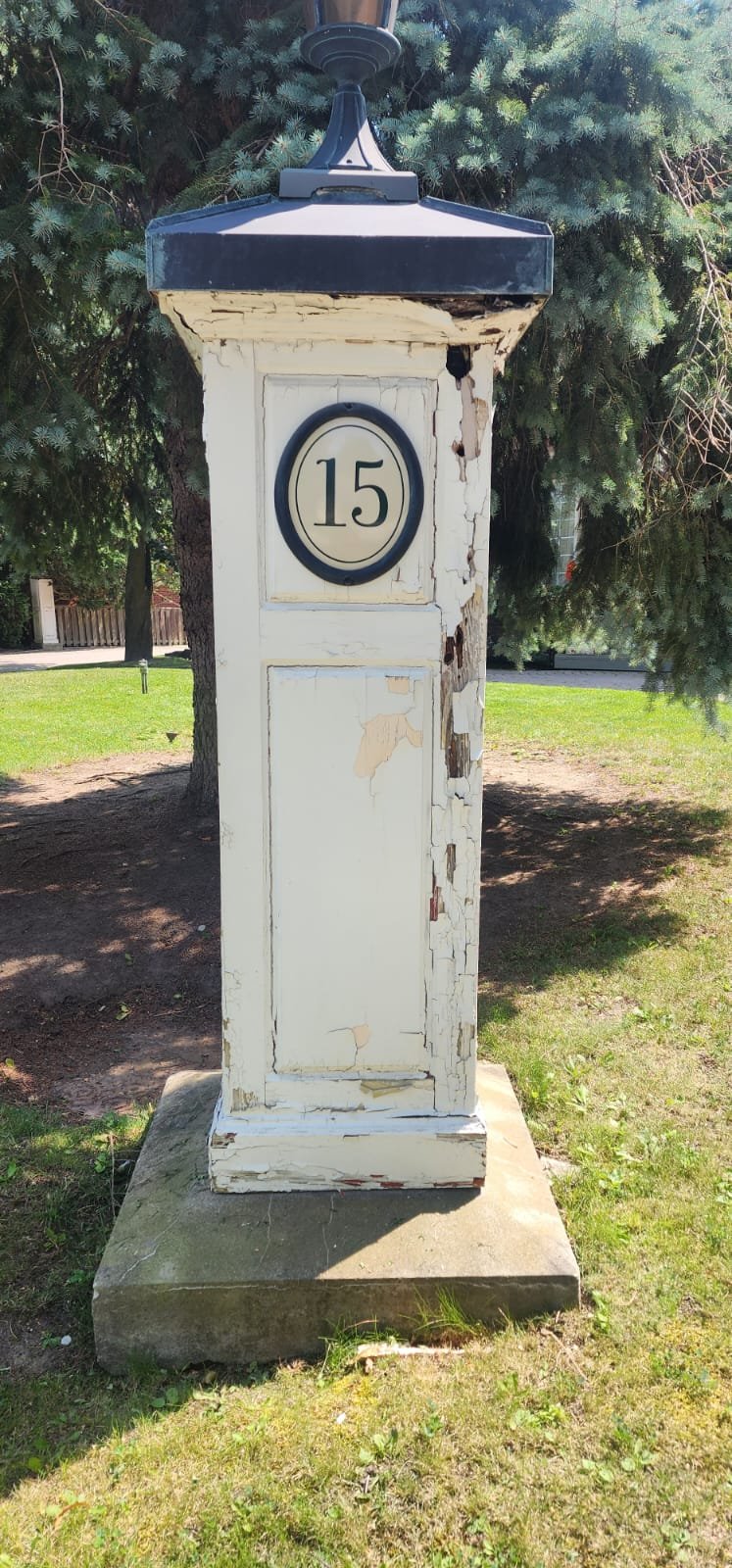 Restoration Project 33